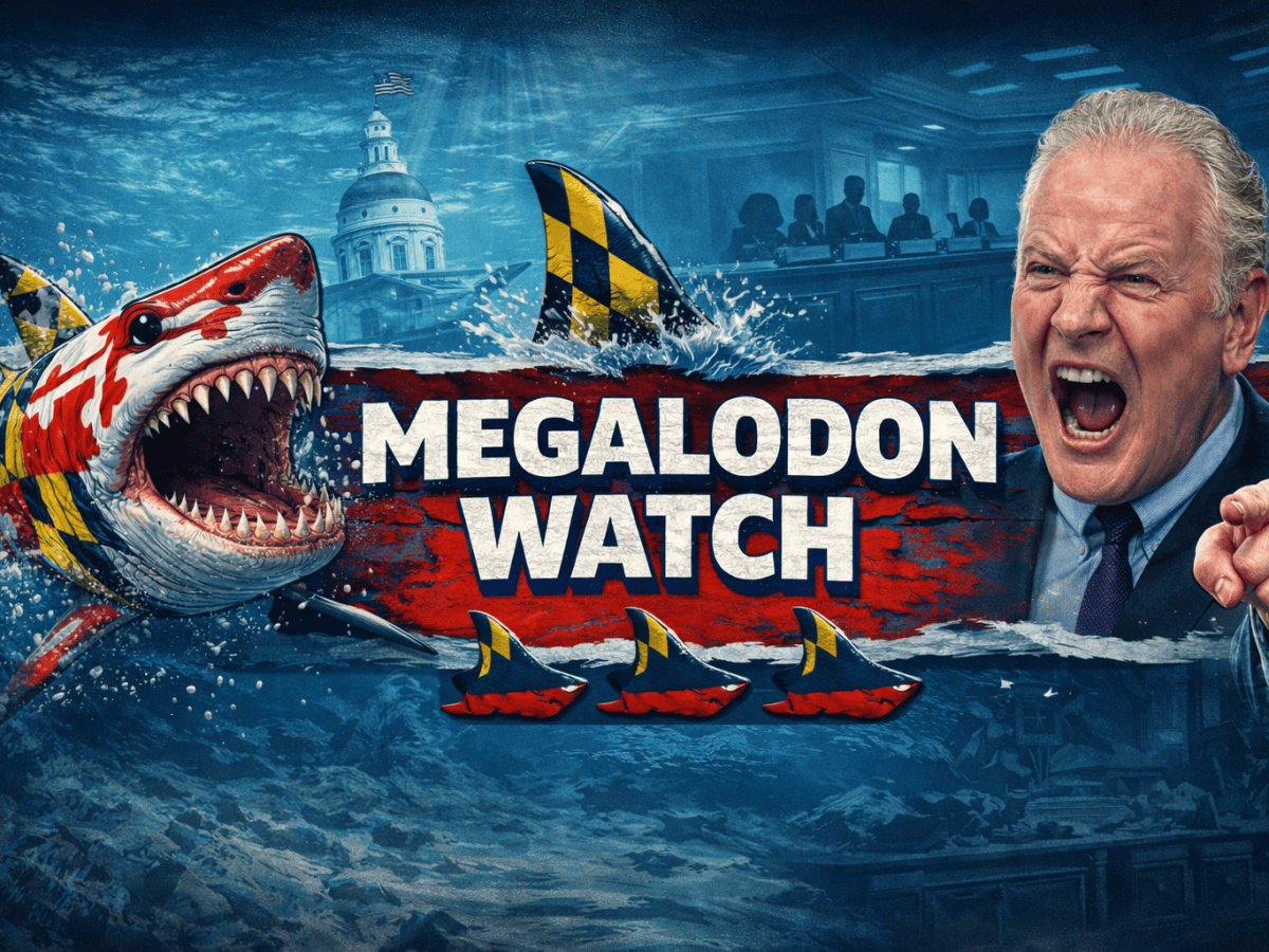 MEGALODON WATCH